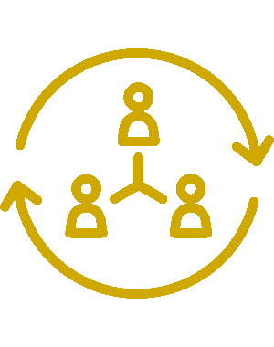 Knowledge network